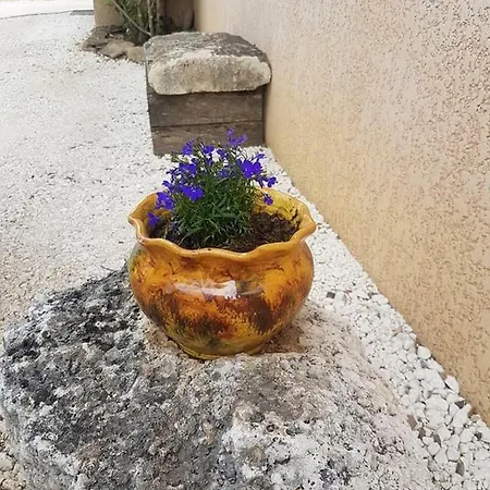 Bed & Breakfast L'oulivade *