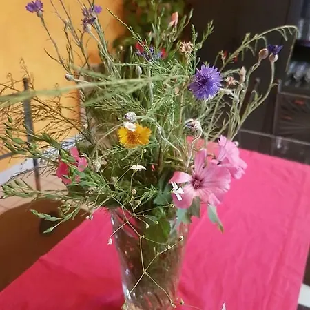 L'oulivade Bed & Breakfast Grignan